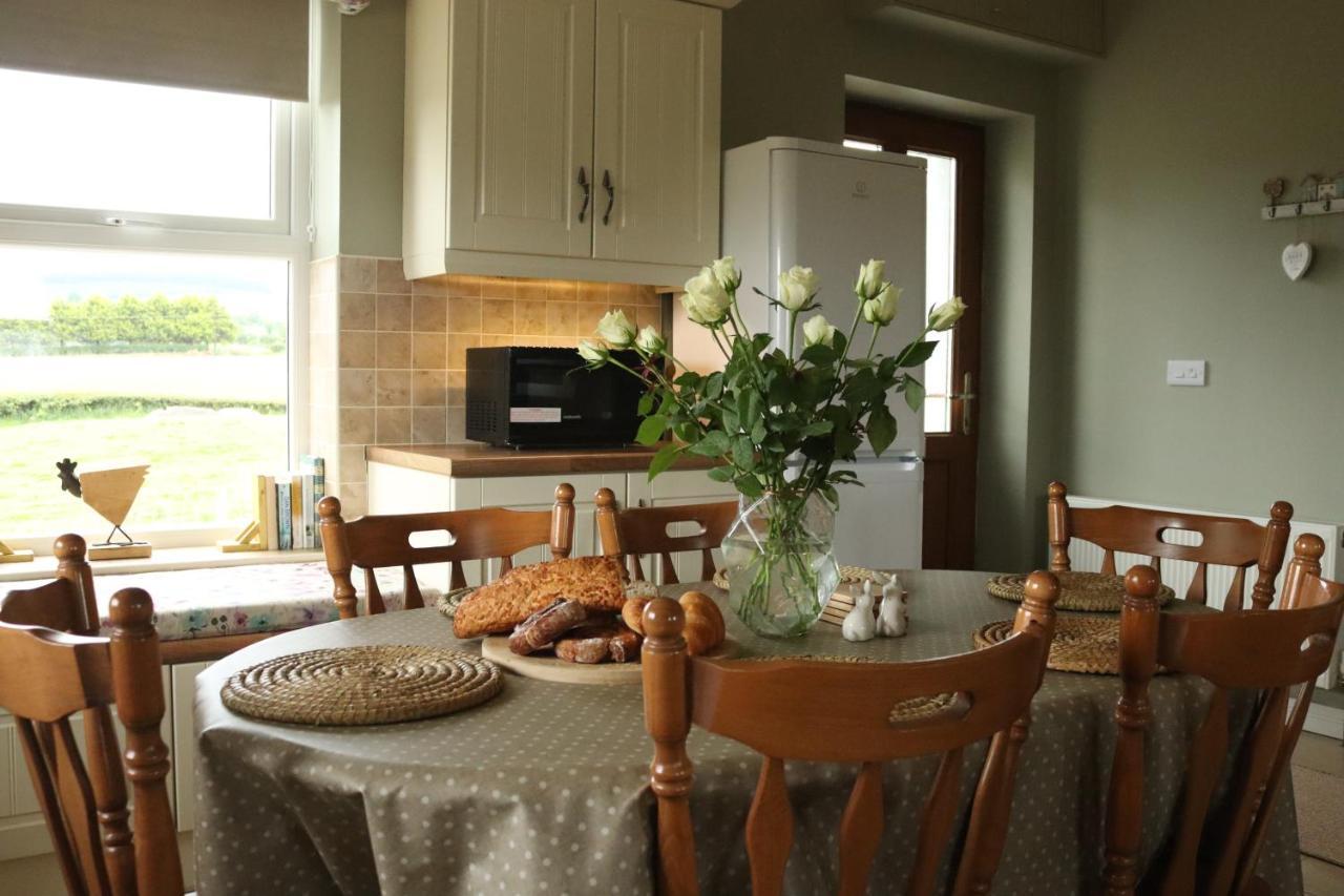 Kingarrow Cottage Omagh Zewnętrze zdjęcie